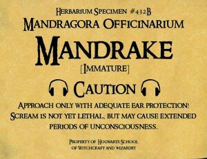 mandrake poster